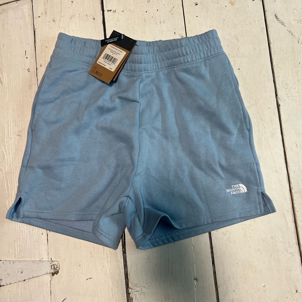 The North Face Steel Blue Evolution Shorts